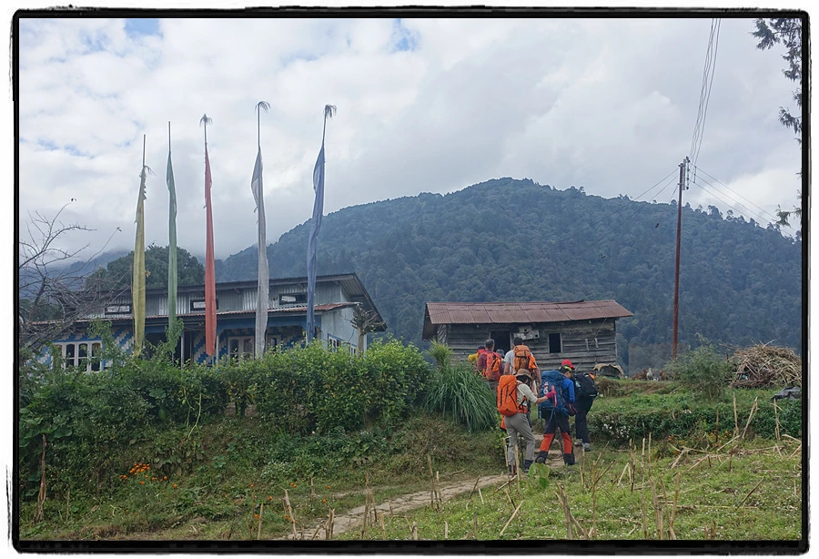 DSC00639.jpg?type=w966