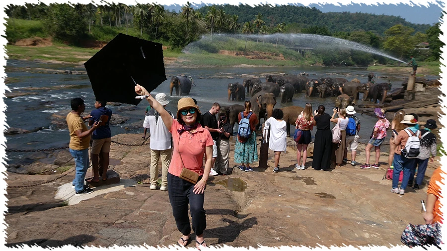 P1010843.jpg?type=w966