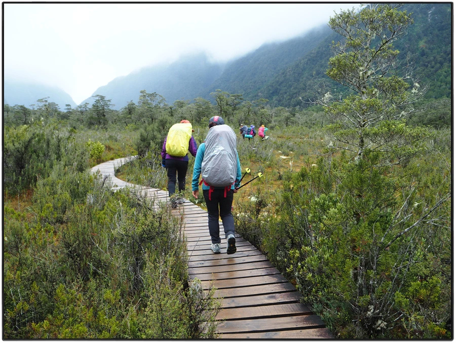 38.jpg?type=w966&jopt=2