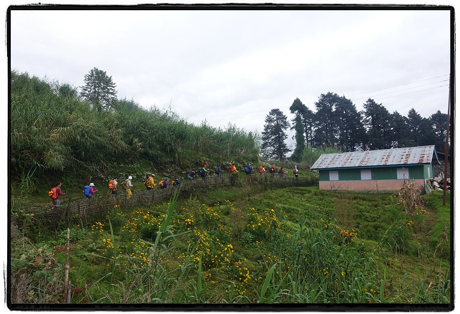 DSC00602.jpg?type=w966