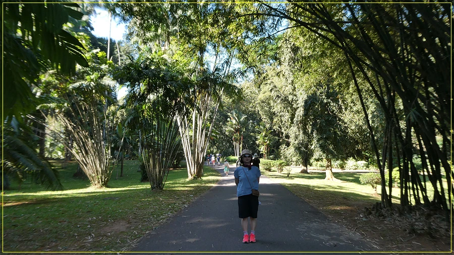 P1011252.jpg?type=w966