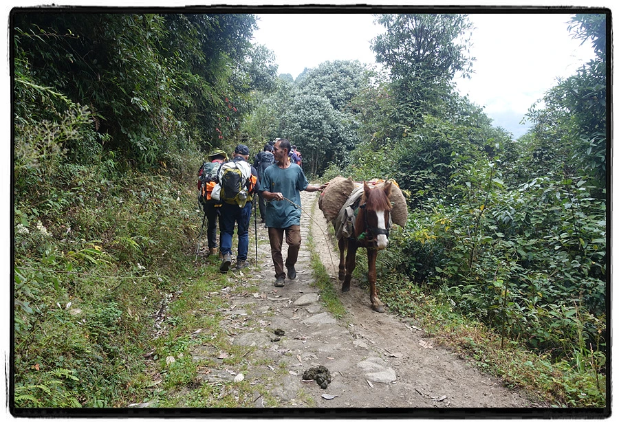 DSC00607.jpg?type=w966