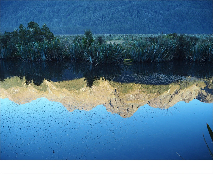 4.jpg?type=w966&jopt=2