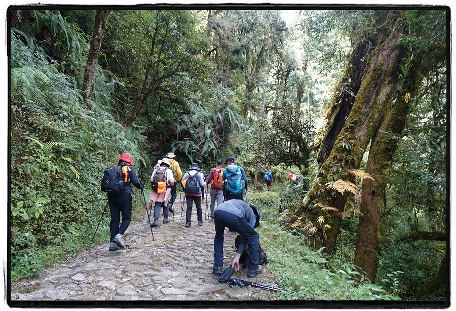 DSC00563.jpg?type=w966