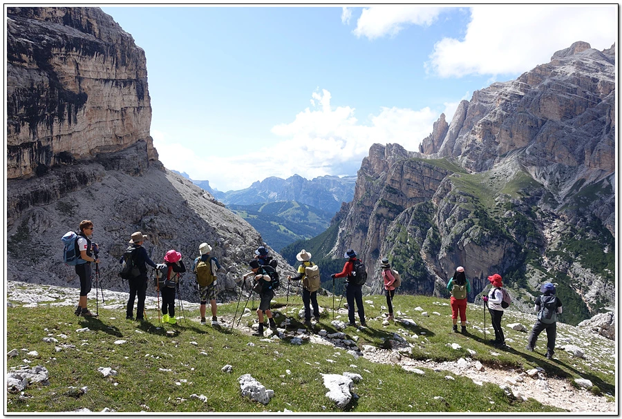 DSC00297.jpg?type=w966&jopt=2