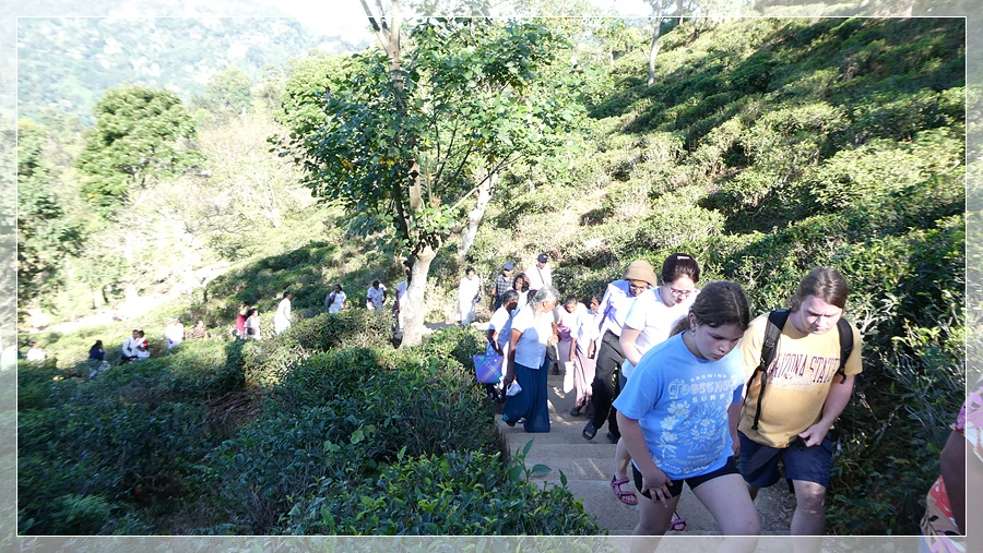 P1011688.jpg?type=w966