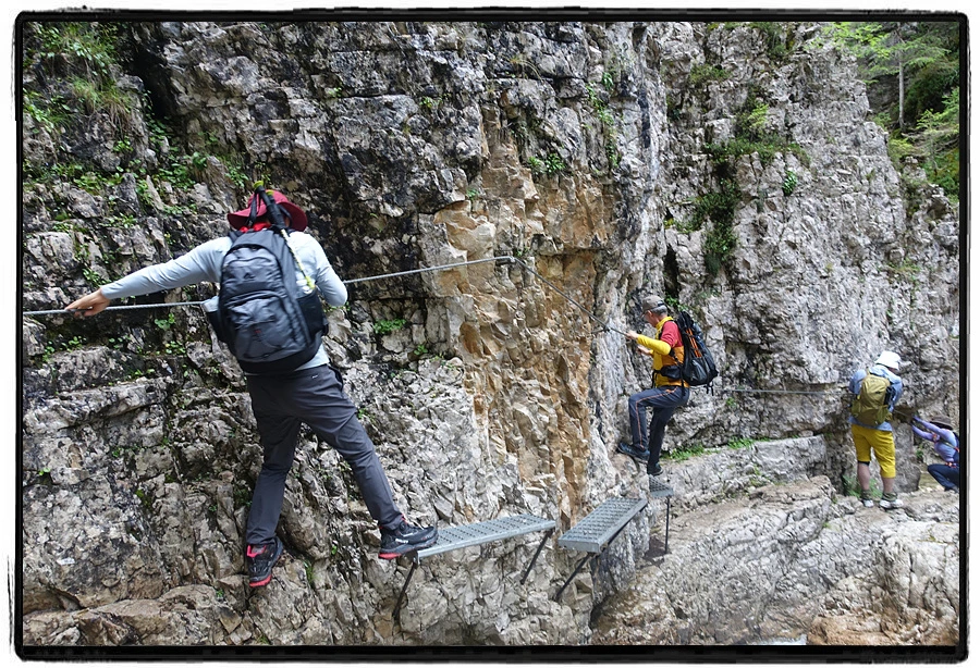 DSC00013.jpg?type=w966&jopt=2