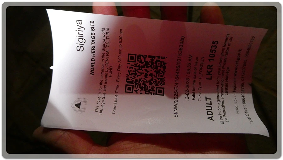 P1010966.jpg?type=w966