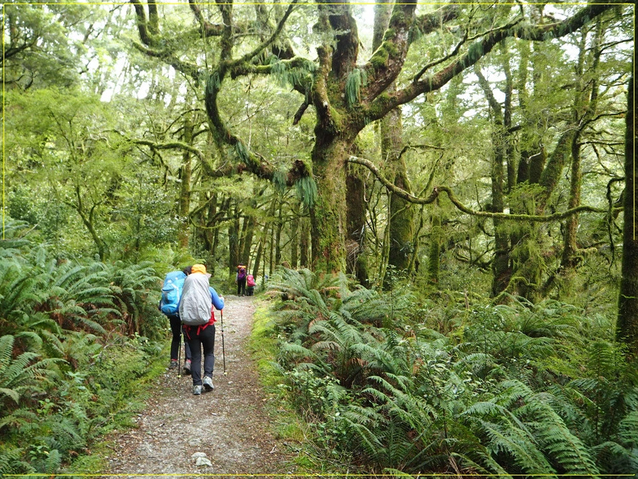 27.jpg?type=w966&jopt=2