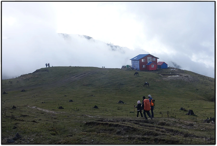 DSC01099.jpg?type=w966