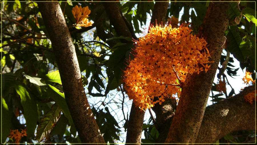 P1011244.jpg?type=w966