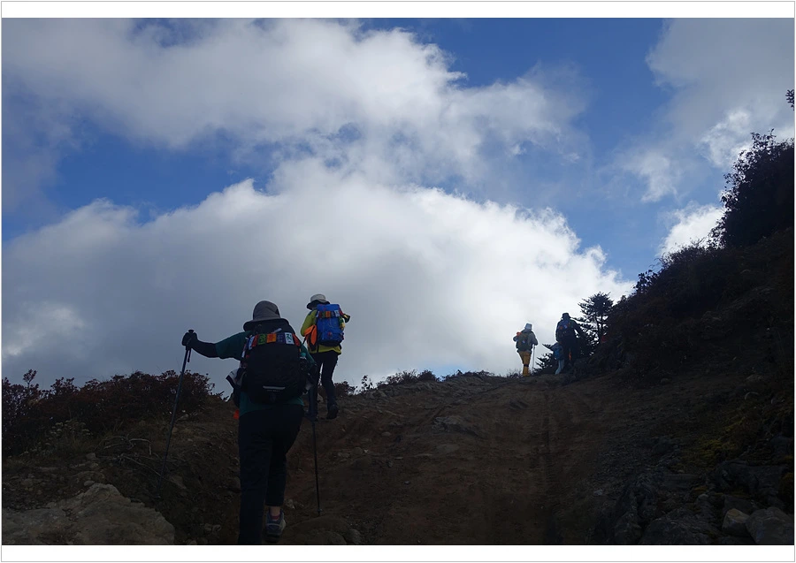 DSC01179.jpg?type=w966