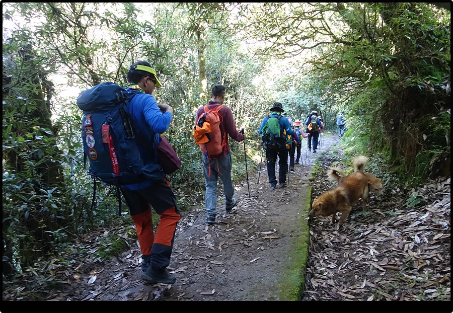 DSC00744.jpg?type=w966