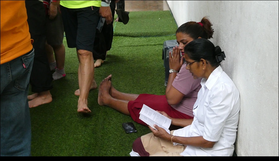 P1022215.jpg?type=w966