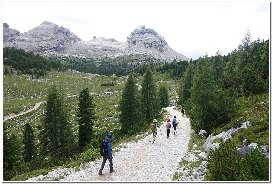 DSC00216.jpg?type=w966&jopt=2