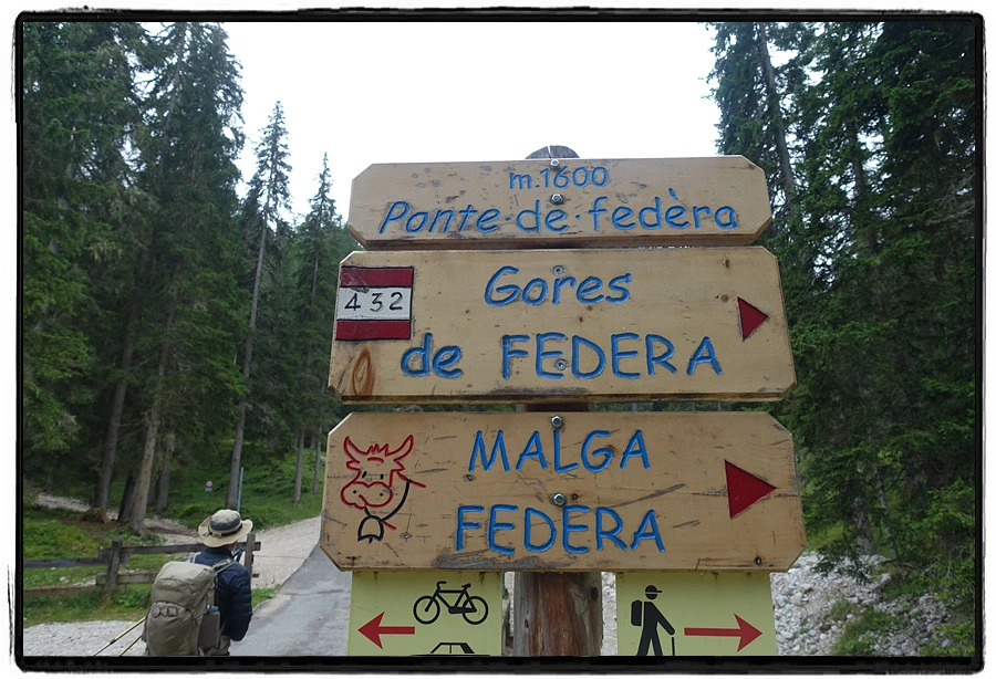 DSC00198.jpg?type=w966&jopt=2