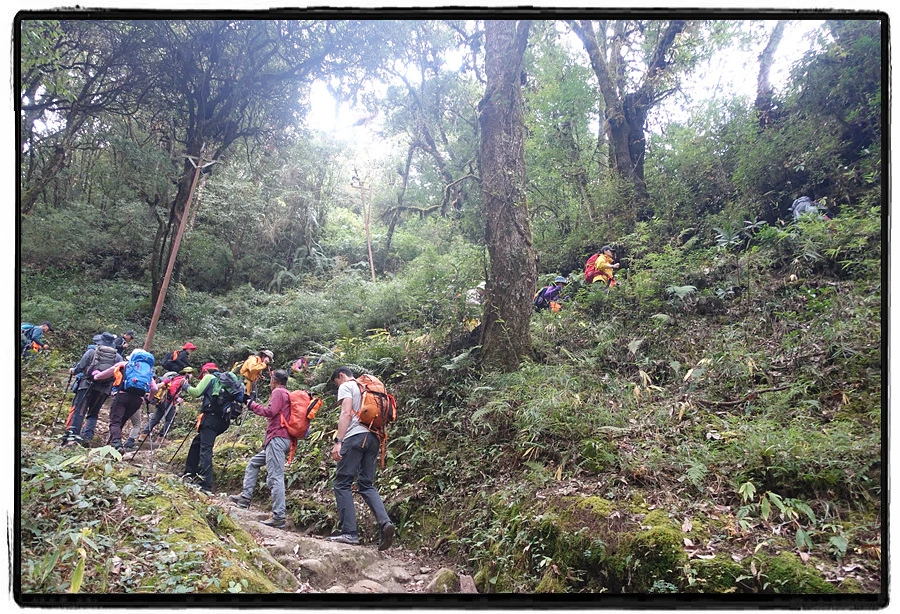 DSC00630.jpg?type=w966