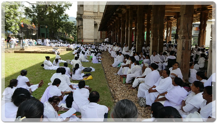 P1011184.jpg?type=w966