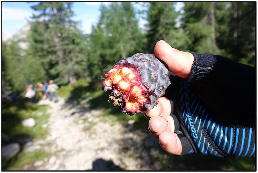 DSC00138.jpg?type=w966&jopt=2