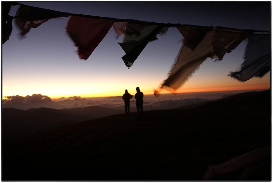 DSC00867.jpg?type=w966