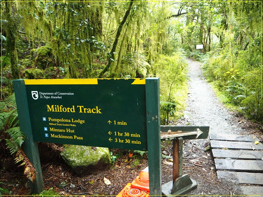 41.jpg?type=w966&jopt=2