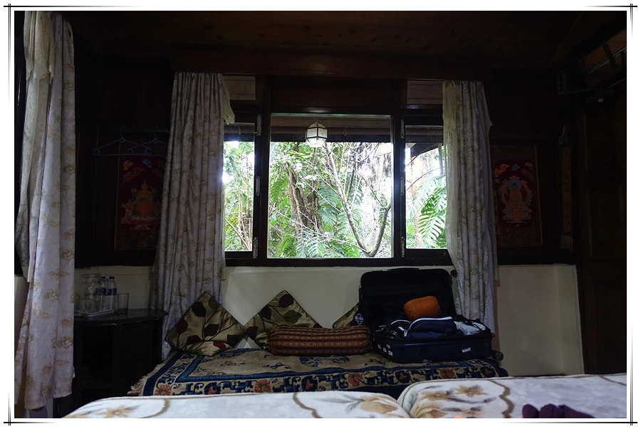 DSC01402.jpg?type=w966