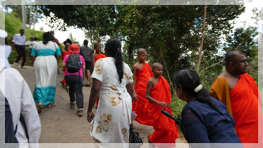 P1021843.jpg?type=w966