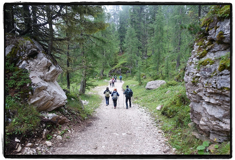 DSC00115.jpg?type=w966&jopt=2