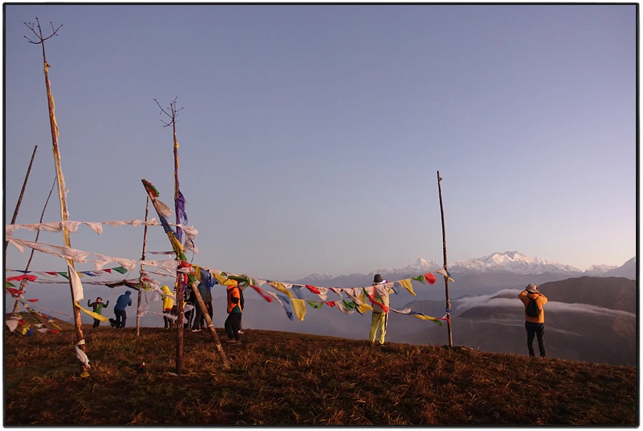 DSC00884.jpg?type=w966