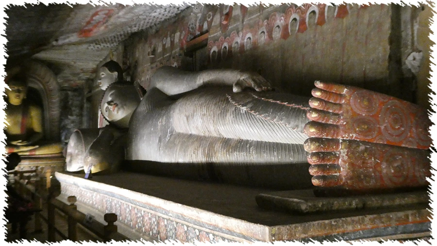 P1010895.jpg?type=w966