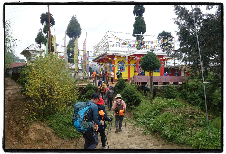 DSC00598.jpg?type=w966