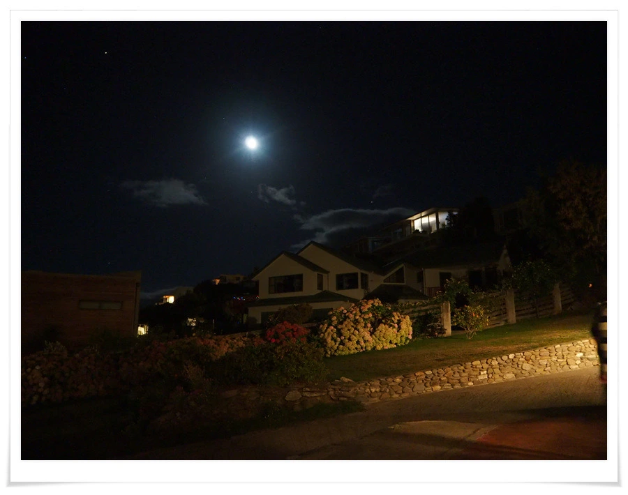 43.jpg?type=w966&jopt=2