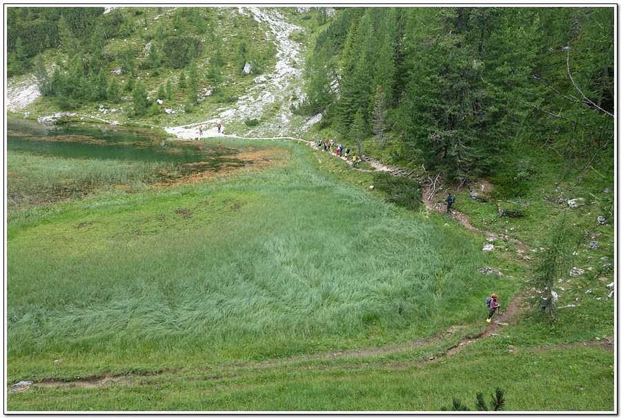 DSC00220.jpg?type=w966&jopt=2