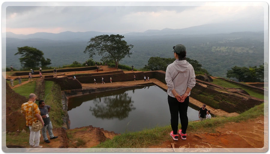 P1011054.jpg?type=w966