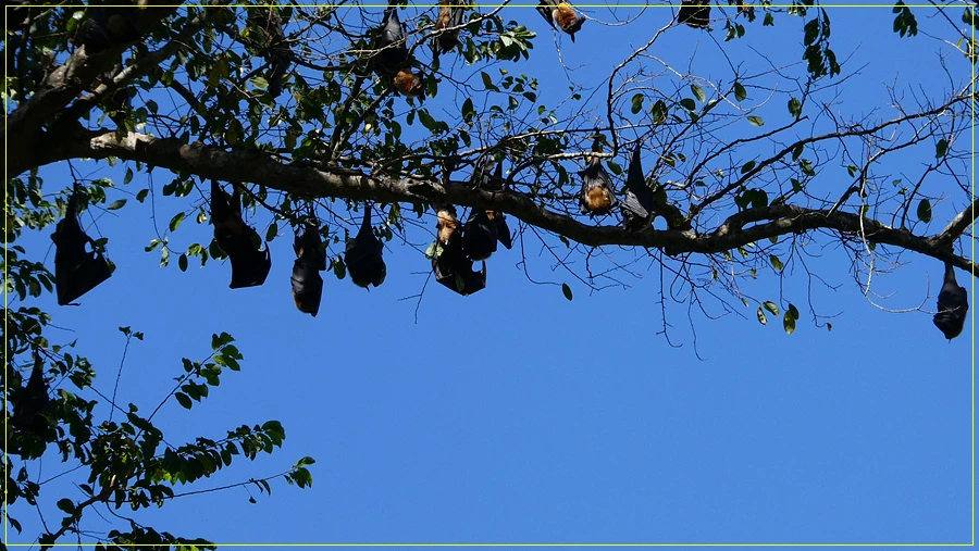 P1011273.jpg?type=w966