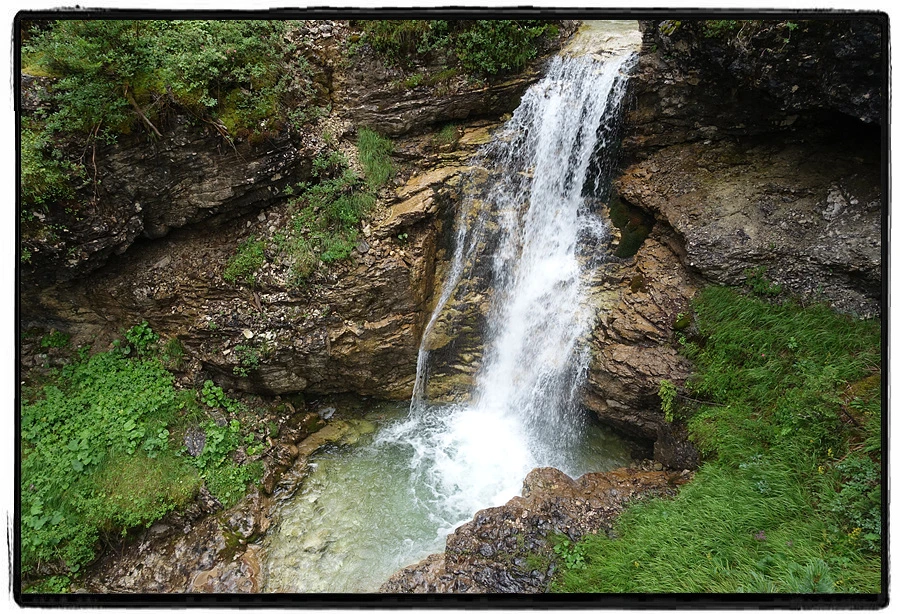 DSC00144.jpg?type=w966&jopt=2