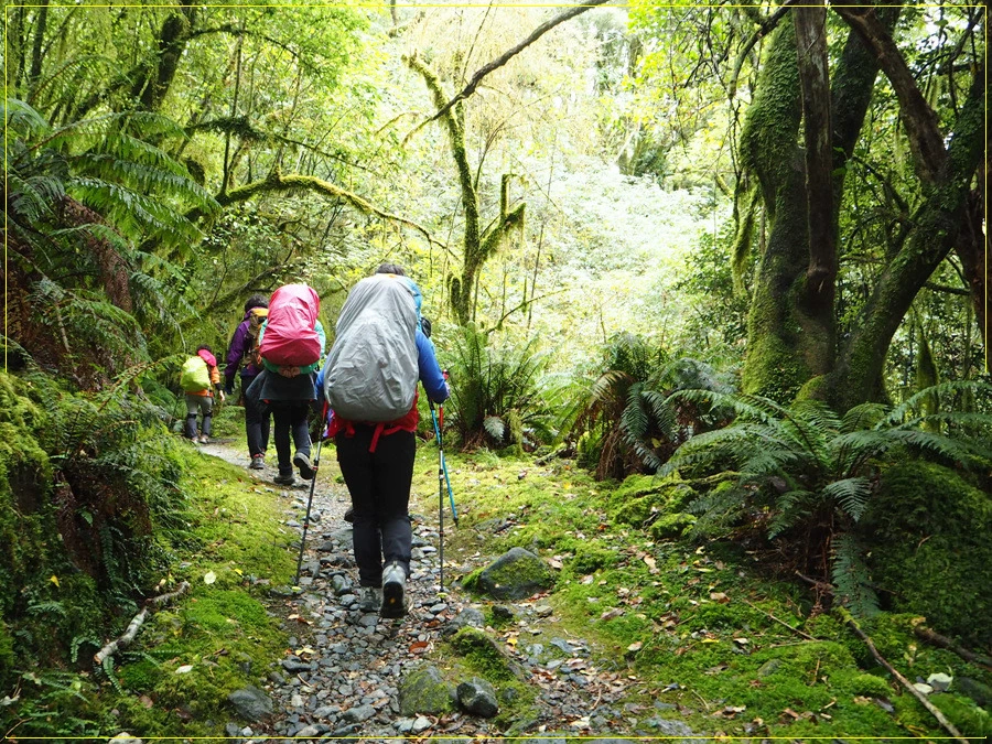 37.jpg?type=w966&jopt=2