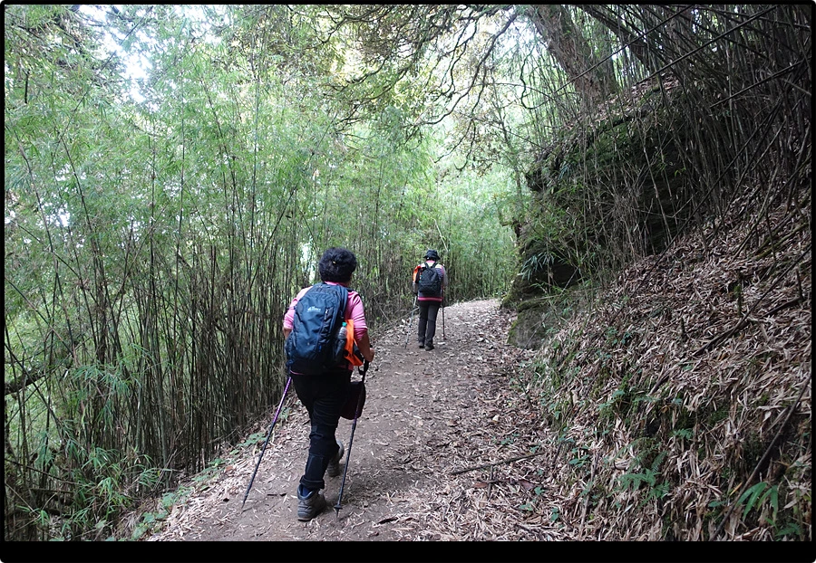 DSC00774.jpg?type=w966