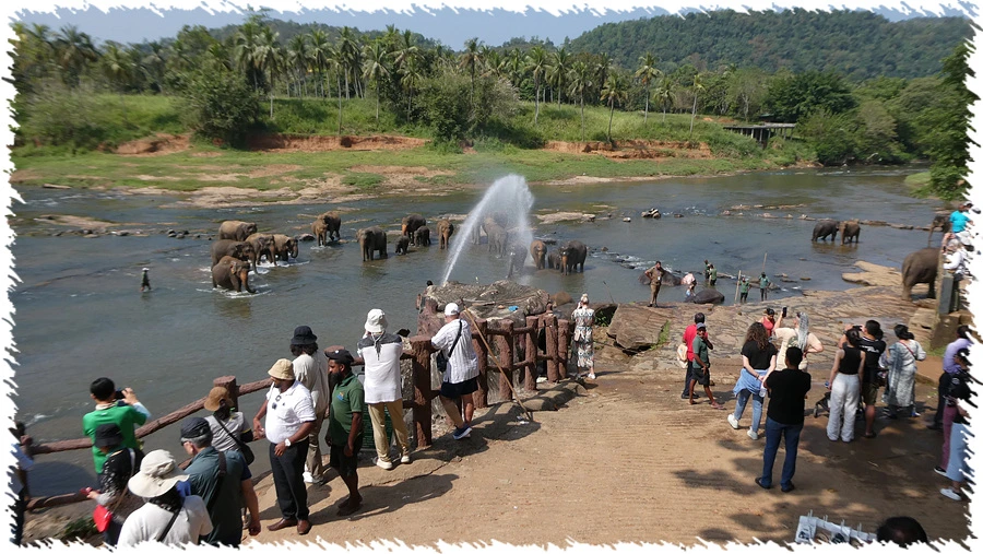 P1010838.jpg?type=w966