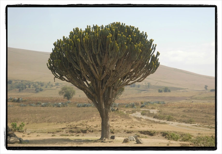 27.jpg?type=w966&jopt=2