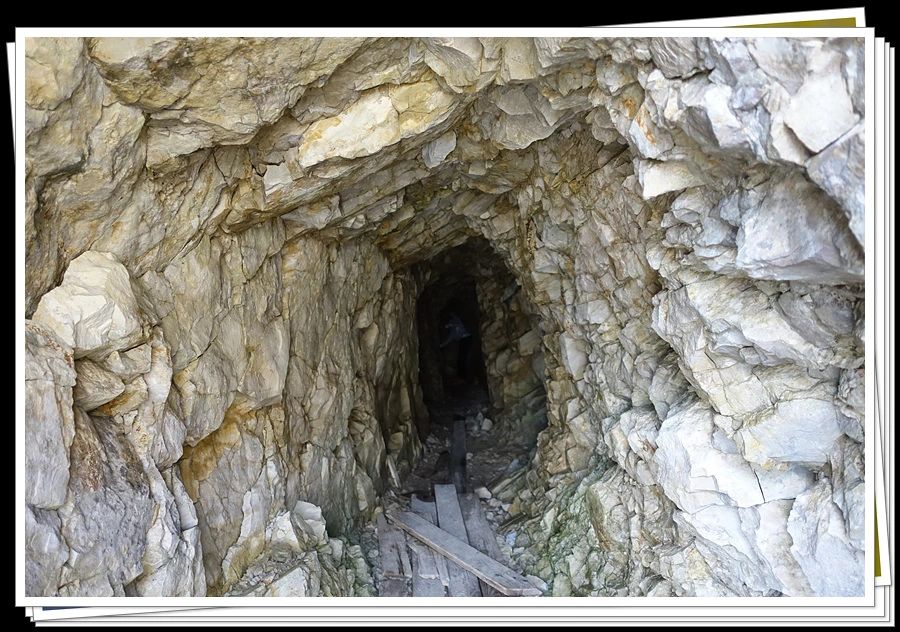 DSC00152.jpg?type=w966&jopt=2