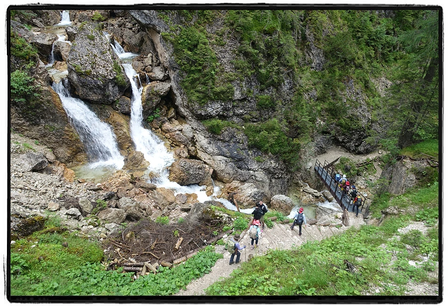 DSC00008.jpg?type=w966&jopt=2