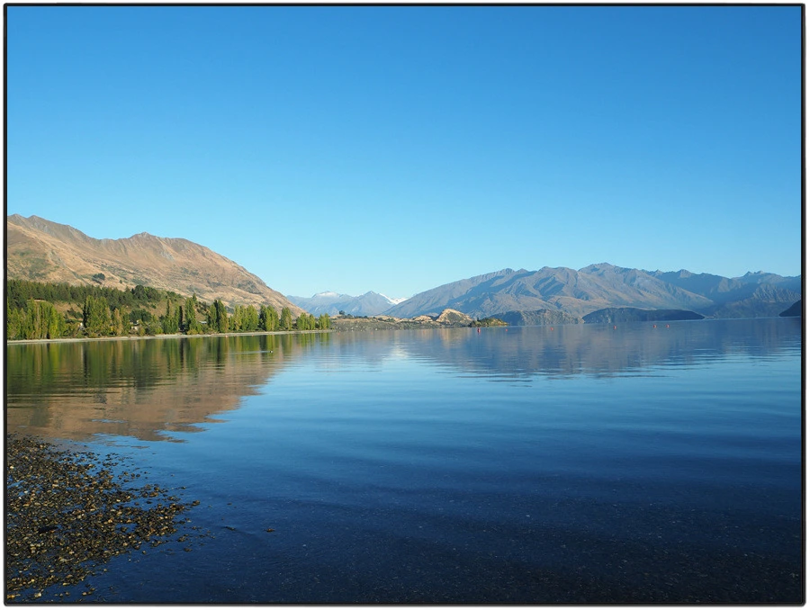 5.jpg?type=w966&jopt=2