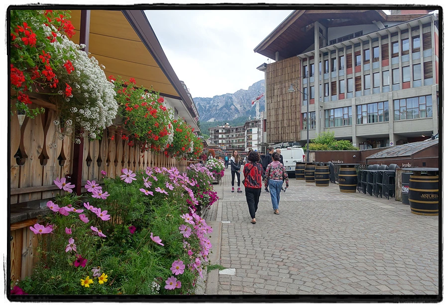 DSC00088.jpg?type=w966&jopt=2