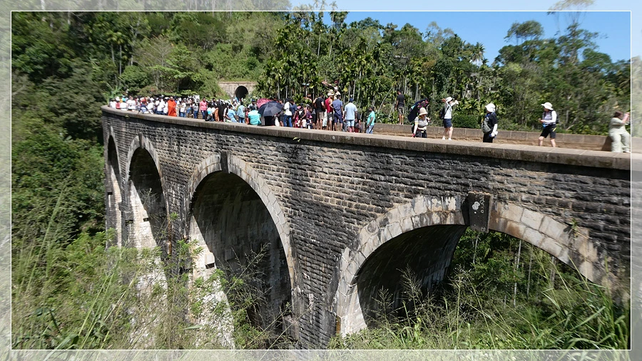 P1021806.jpg?type=w966