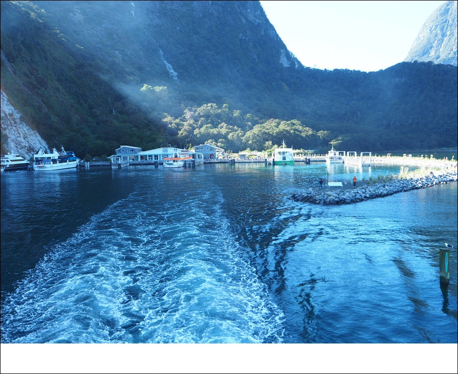 20.jpg?type=w966&jopt=2