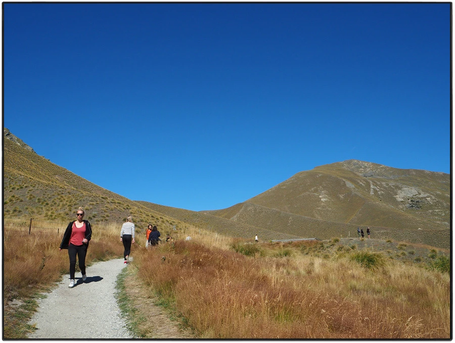 12.jpg?type=w966&jopt=2