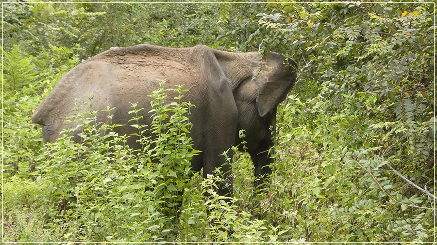 P1021956.jpg?type=w966