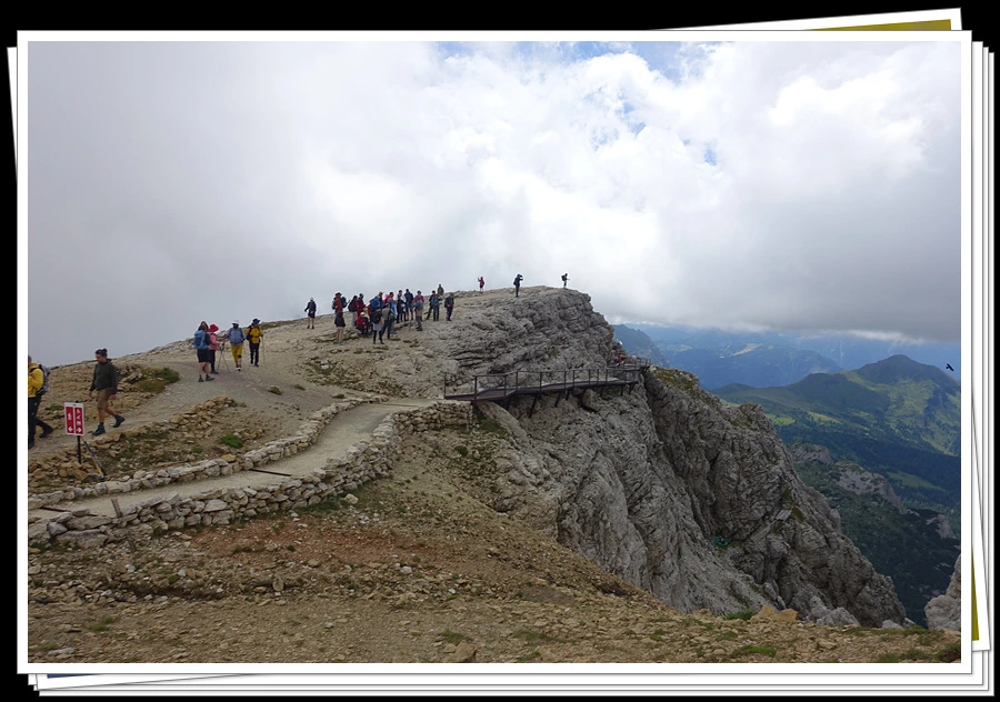 DSC00195.jpg?type=w966&jopt=2