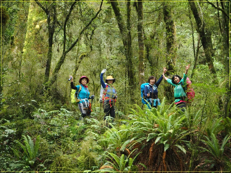 18.jpg?type=w966&jopt=2